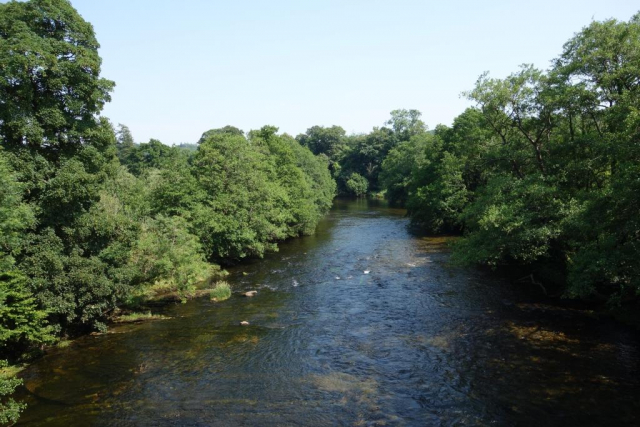 Ashburton Branch