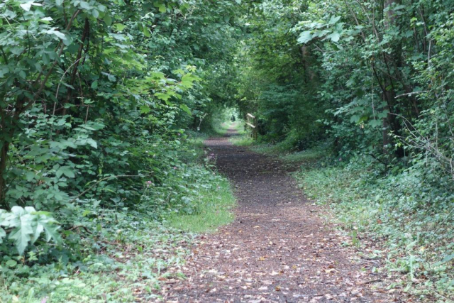 Westleigh Quarry Branch