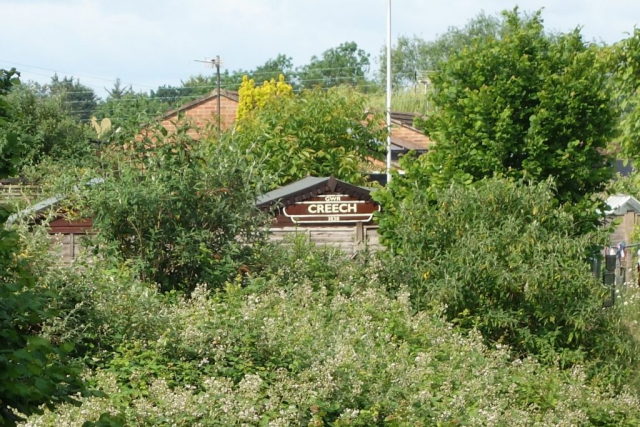 Taunton to Castle Cary