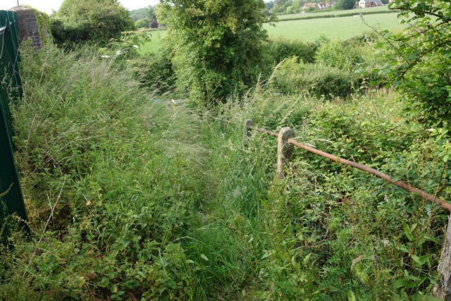 Taunton to Castle Cary