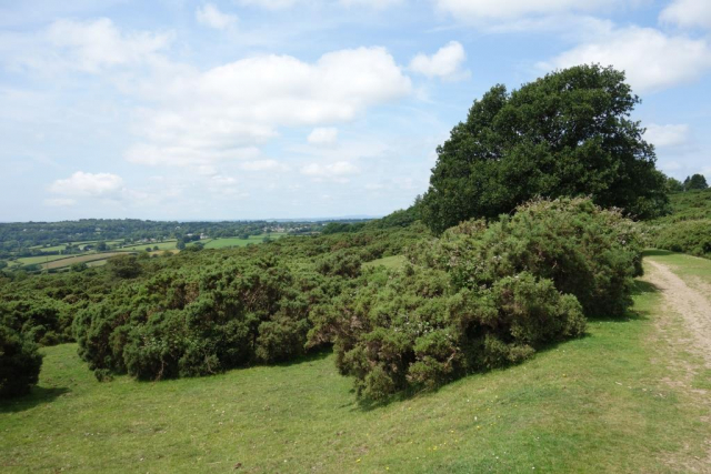 Princetown Branch
