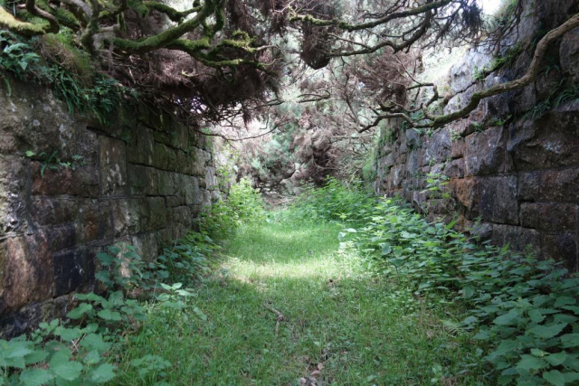 Princetown Branch