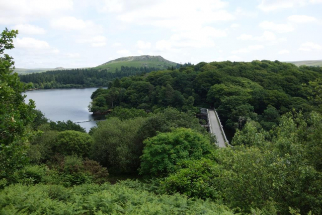 Princetown Branch