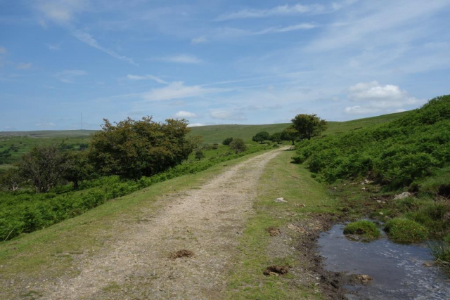 Princetown Branch