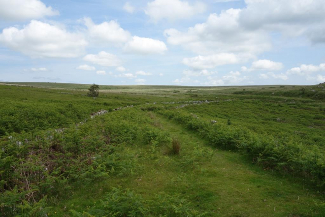 Princetown Branch