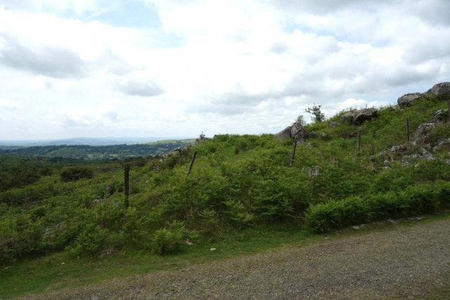 Princetown Branch