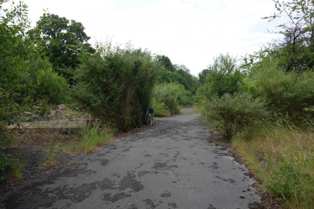 Ashburton Branch