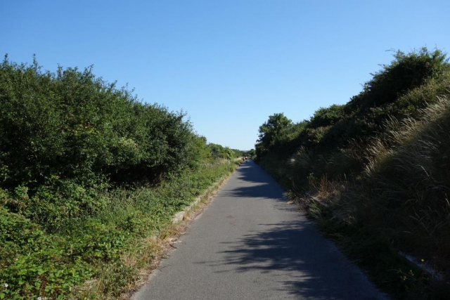 Wyke Regis Halt