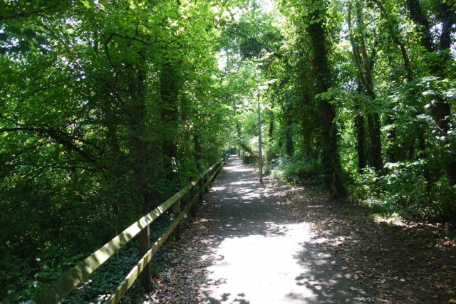Bampton Station