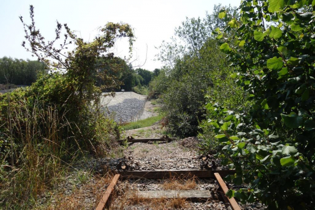 Moretonhampstead Branch