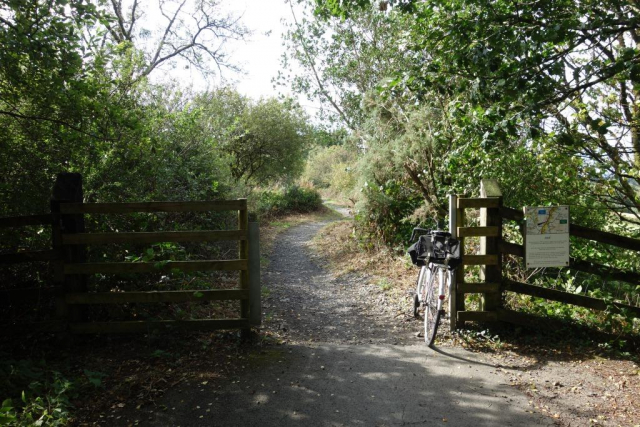 Okehampton to Friary