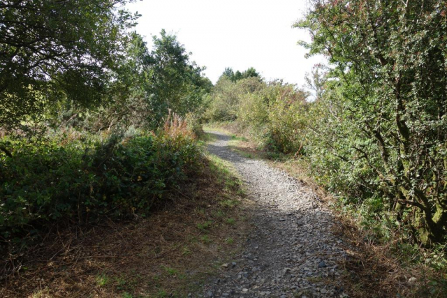 Okehampton to Friary