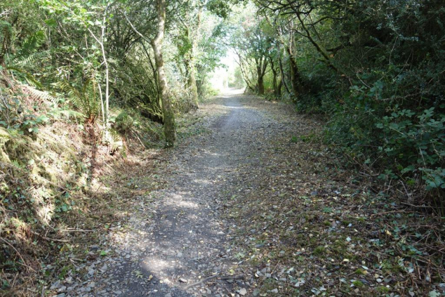 Okehampton to Friary