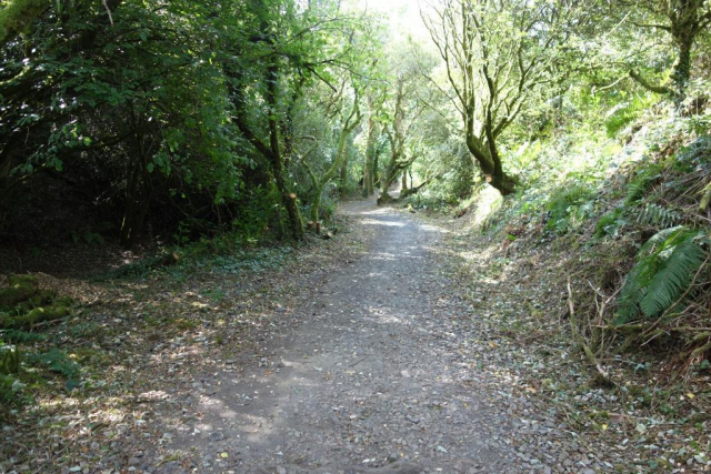 Okehampton to Friary