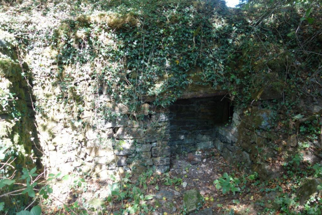 Okehampton to Friary