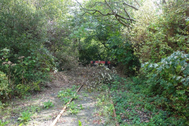 Okehampton to Friary