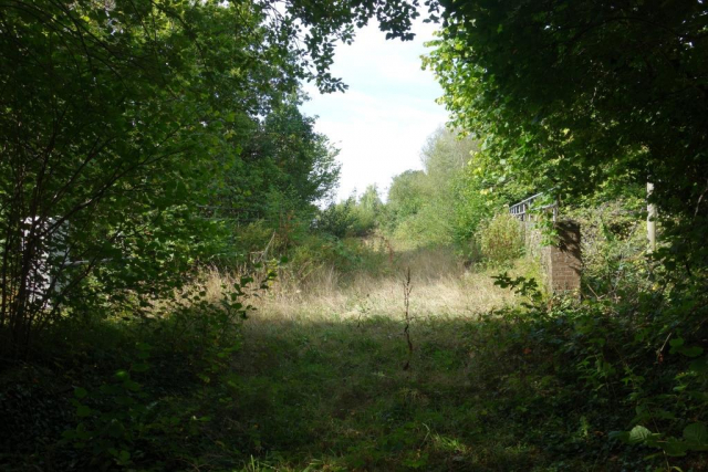 Okehampton to Friary