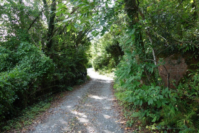 Okehampton to Friary