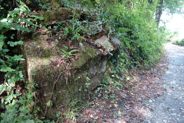Okehampton to Friary