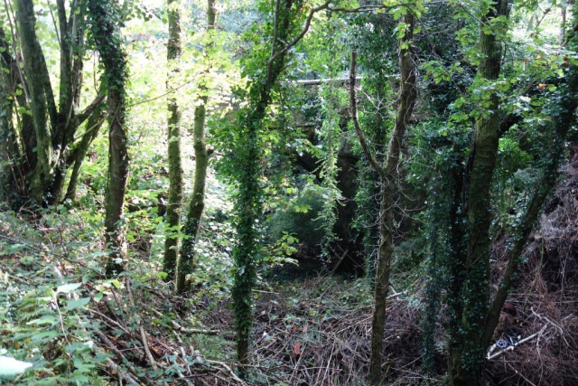 Okehampton to Friary