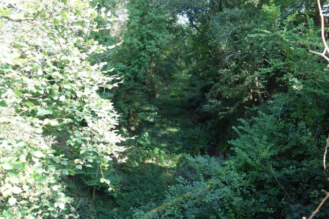 Okehampton to Friary