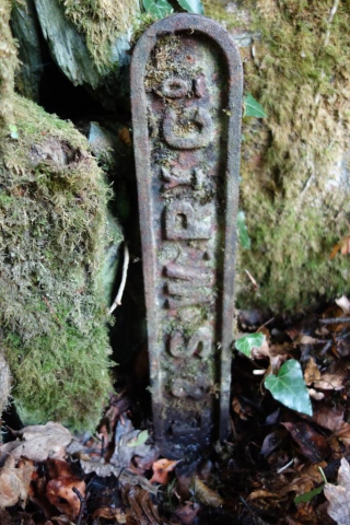 Okehampton to Friary