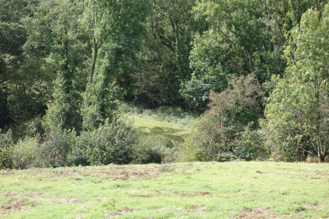 Okehampton to Friary