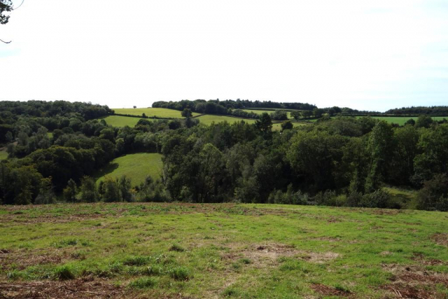 Okehampton to Friary
