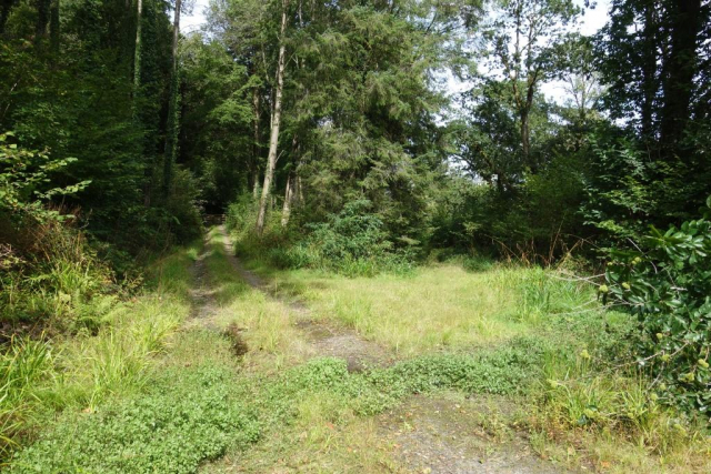 Okehampton to Friary