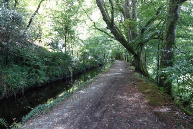 Tavistock Canal