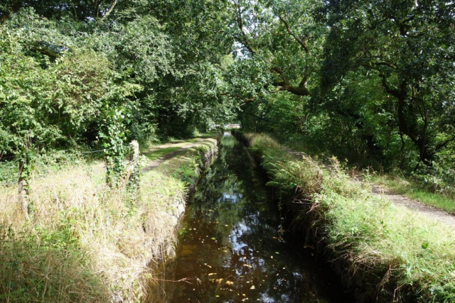 Tavistock Canal