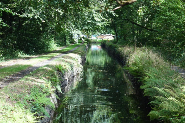 Tavistock Canal