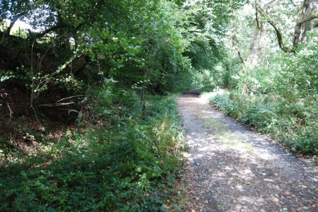 Tavistock Canal