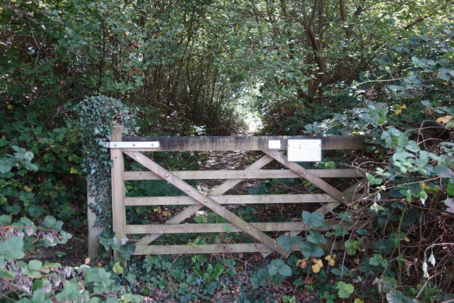 Okehampton to Friary