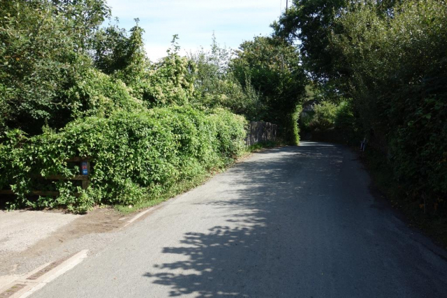Okehampton to Friary
