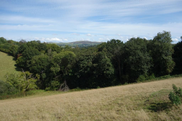 Okehampton to Friary