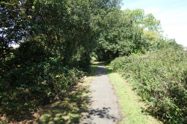 Okehampton to Friary