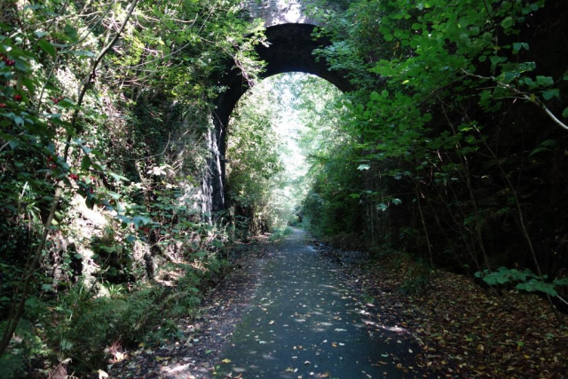 Okehampton to Friary