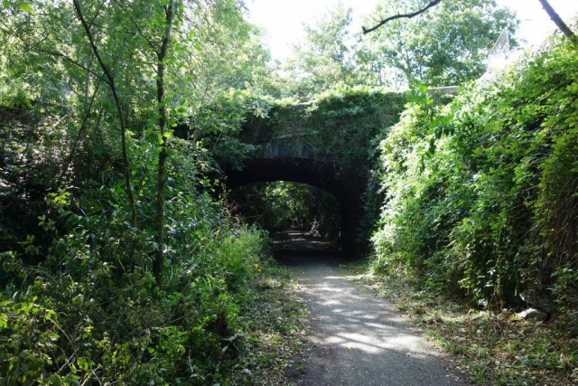 Okehampton to Friary