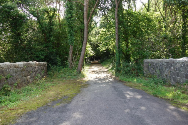 Okehampton to Friary