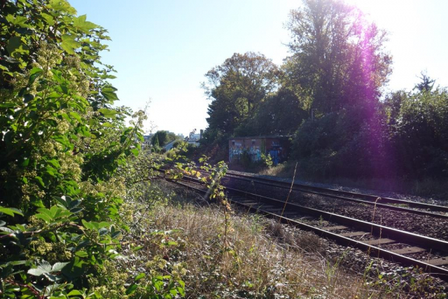 Okehampton to Friary