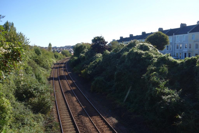 Okehampton to Friary
