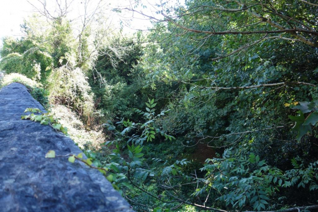 Okehampton to Friary