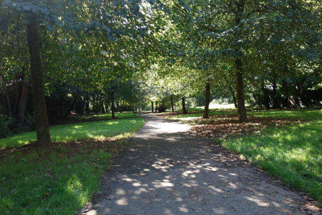 Okehampton to Friary