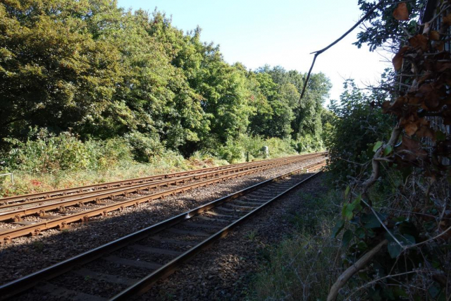 Okehampton to Friary
