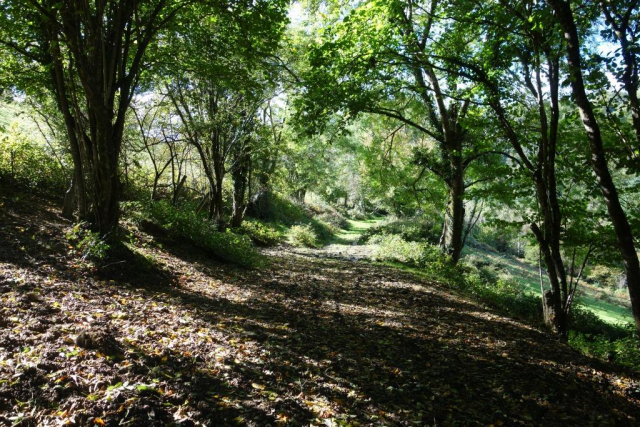 Lynton & Barnstaple