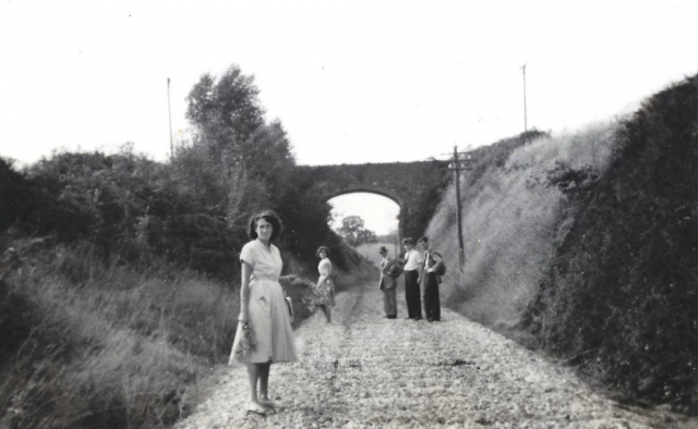 Halscombe Lane