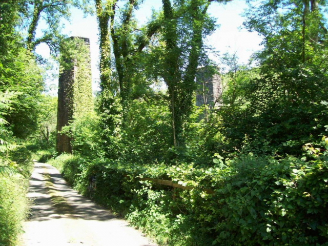 The piers of Waterrow Viaduct rise like temples in a rainforest, remnants of a lost civilization. Devon & Somerset Railway