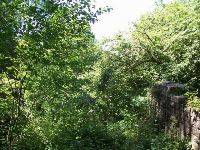 Taken from the abutment at the Taunton end, there is a void once spanned by steel. The first pier can just be glimpsed through the foliage. Devon & Somerset Railway