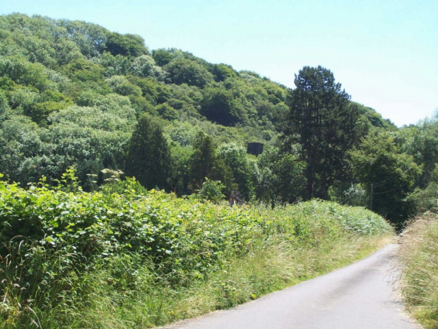 A motorist, trapped by what he is convinced is his liberty, might sweep past this turning off the minor road leading from the turnpike towards Bathealton without noticing the one pier of Waterrow Viaduct that peaks over the trees. Devon & Somerset Railway